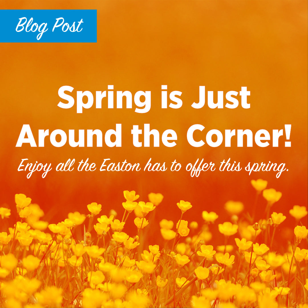 <span>Spring is Just Around the Corner!</span>