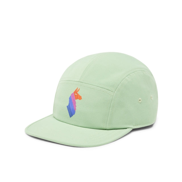 Llama Stripes 5 Panel Hat