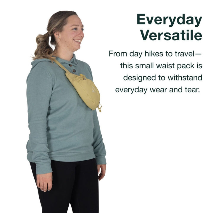 Daylite Mini Waist Pack