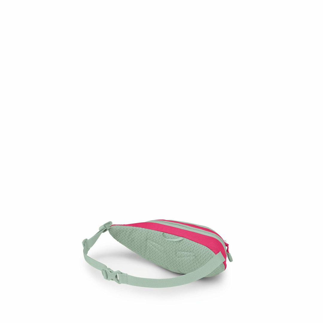 Daylite Mini Waist Pack