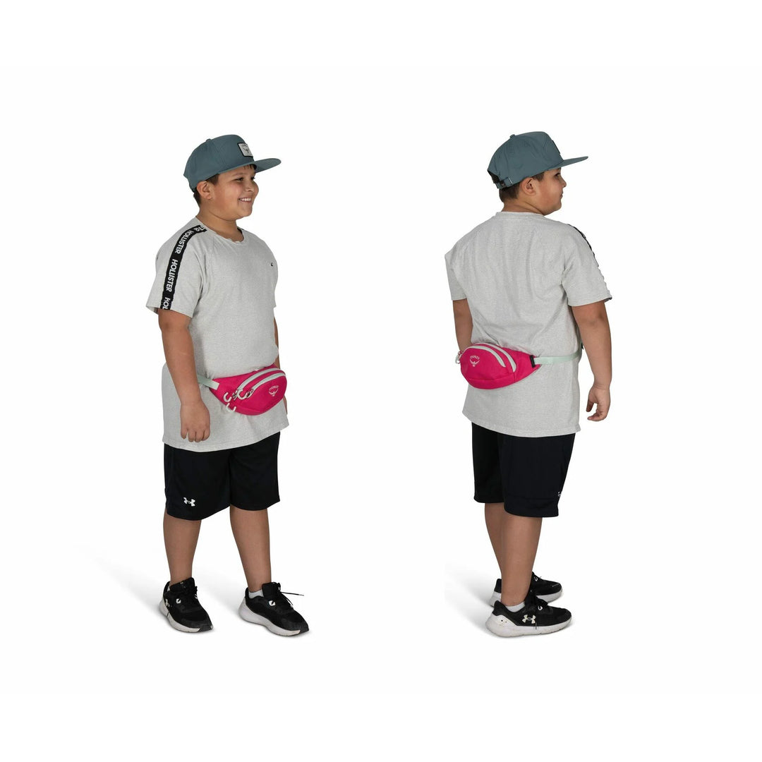 Daylite Mini Waist Pack
