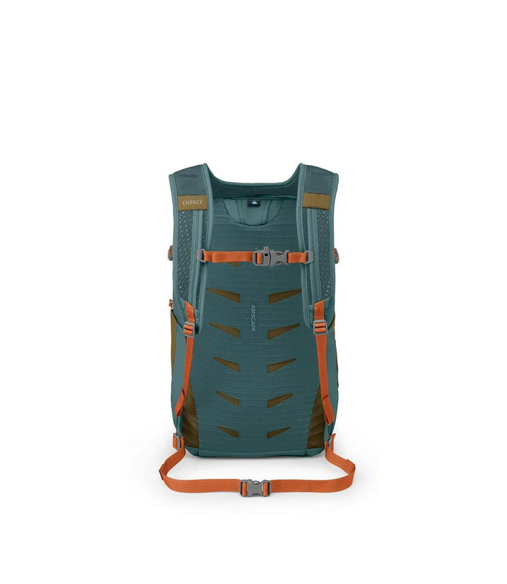 Daylite Plus Daypack - Earth