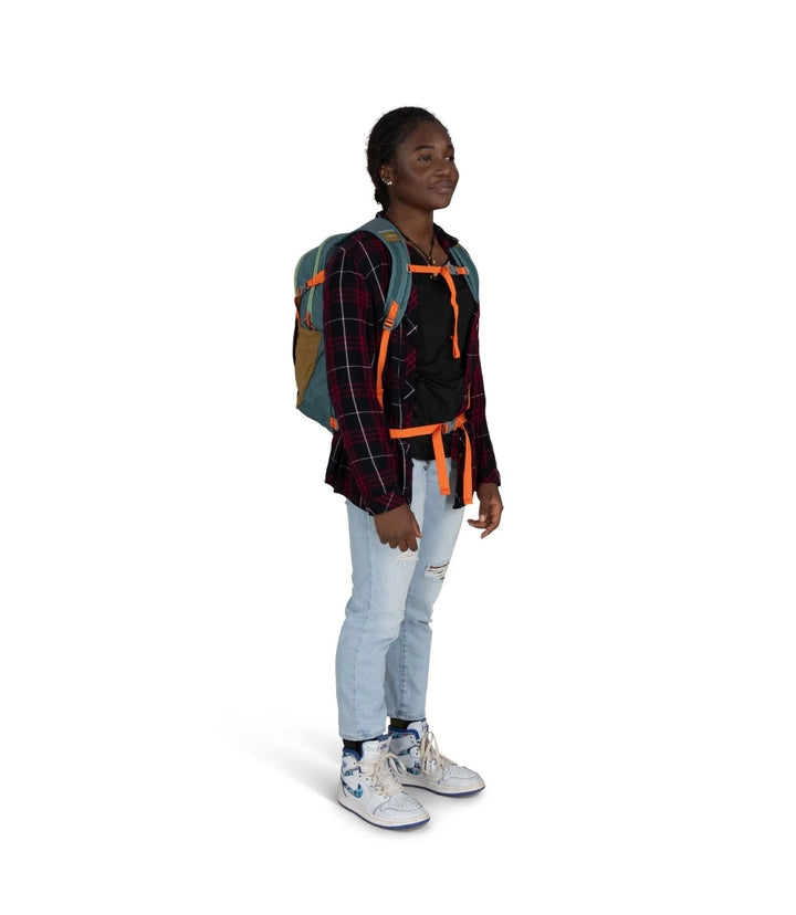 Daylite Plus Daypack - Earth