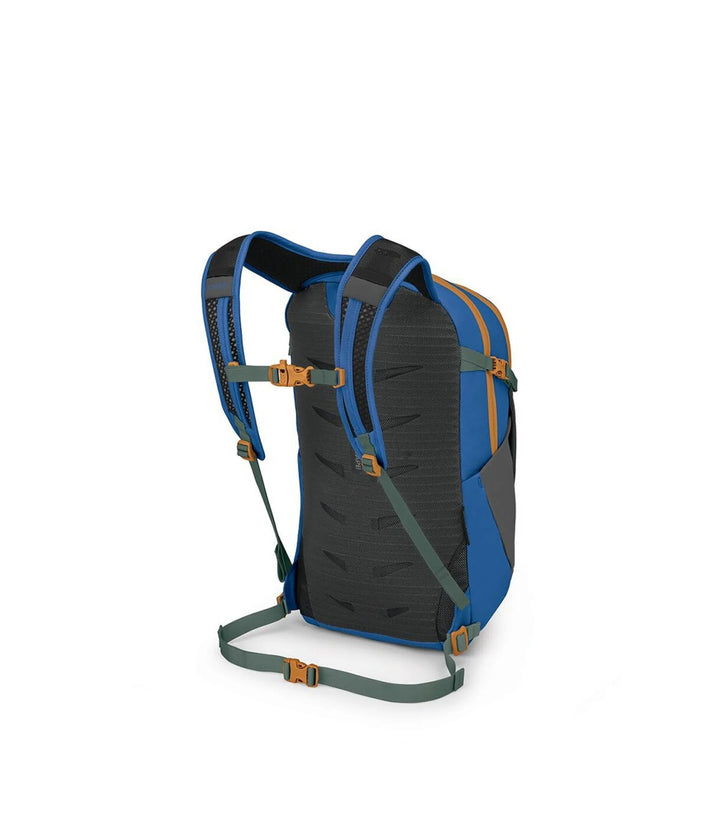 Daylite Plus Daypack - Earth