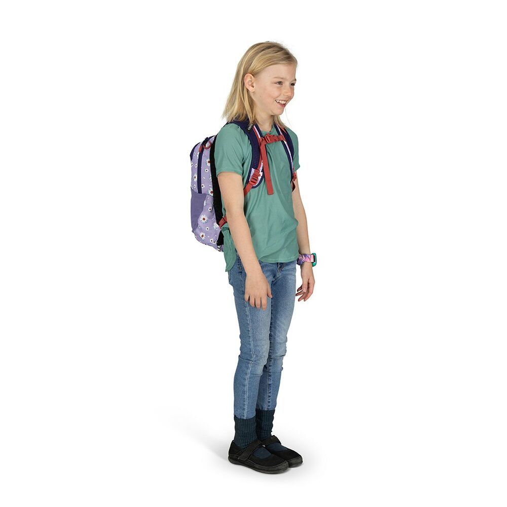 Daylite Jr.