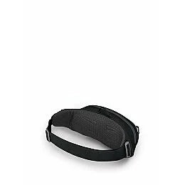 Daylite 2L Waist Pack