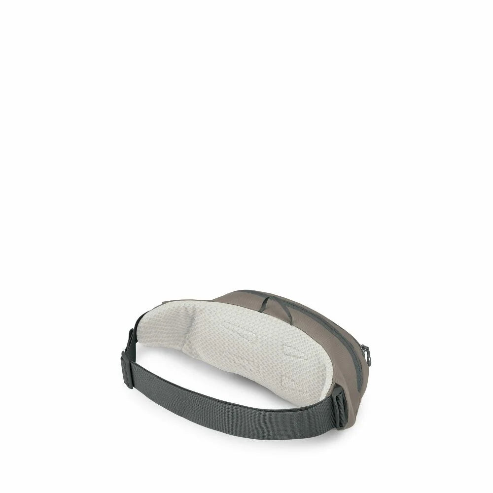 Daylite 2L Waist Pack