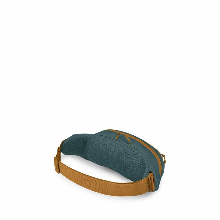 Daylite 2L Waist Pack