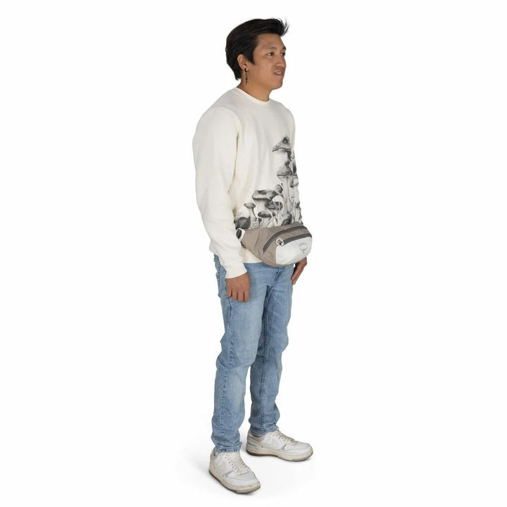 Daylite 2L Waist Pack