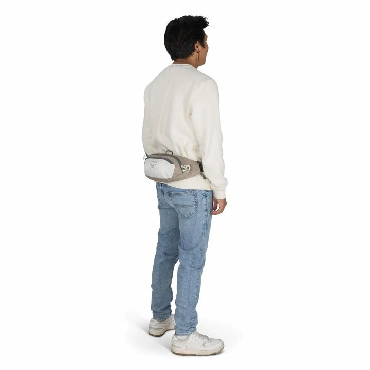 Daylite 2L Waist Pack