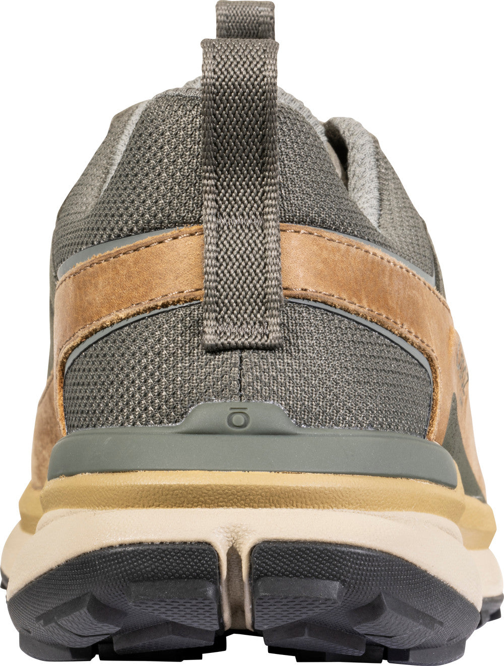 Men's Hyalite Low Waterproof