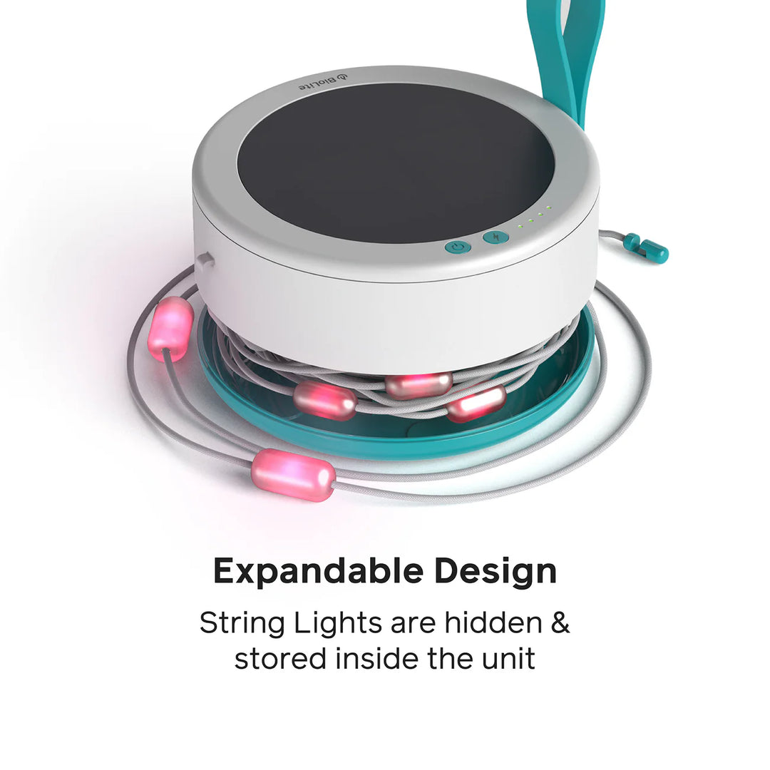 Solar String Lights 44'