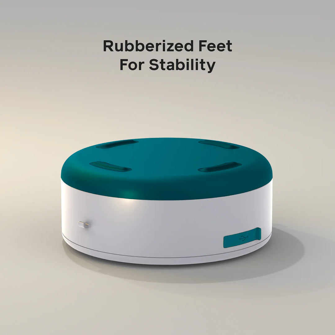 Solar String Lights 44'