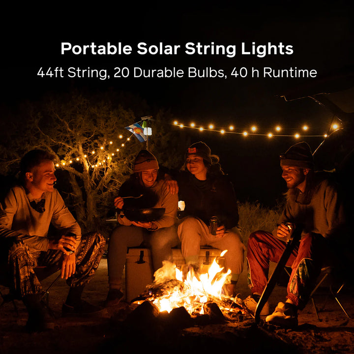 Solar String Lights 44'