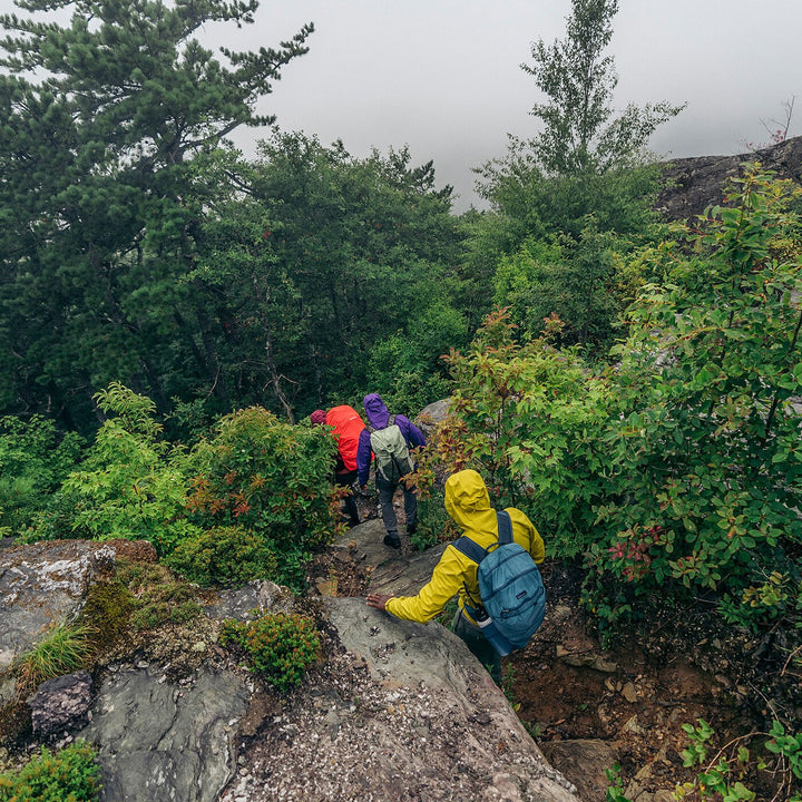 Women's Torrentshell 3L Rain Jacket
