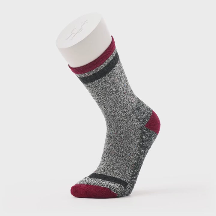 Everyday Cozy Larimer Light Cushion Crew Socks